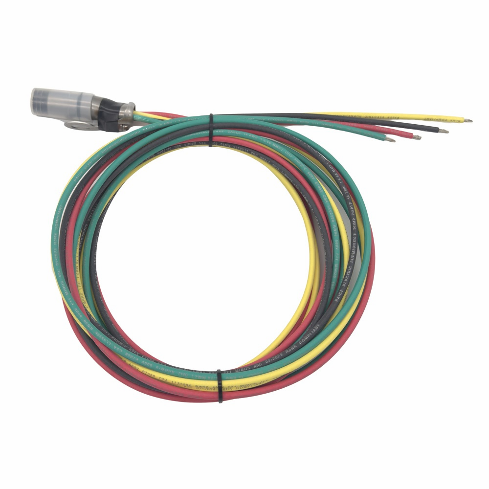 Grundfos 2HP motor lead