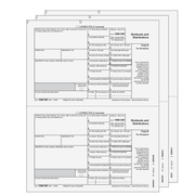 EFDIVS305 - 1099-DIV Preprinted Dividends and Distributions 3-part E-file Set
