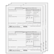 EFW2TRADS305 - Traditional Preprinted W-2 Form 3-part E-file Set (EFW2TRADS305)