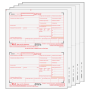 W-2 2up Blank Traditional Set 8-Part w/ Instructions (TRDSET8I05)  