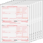 W-2 2up Preprinted Traditional Set 8-Part (W2TRADS805)  