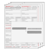 W-2 4up Condensed Preprinted Kit 6-Part Quadrants w/Envelopes (W24UPS6EG)  