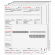 W-2 4up Preprinted Condensed  Kit 8-Part Quadrants  w/Envelopes (W24UPS8EG)  