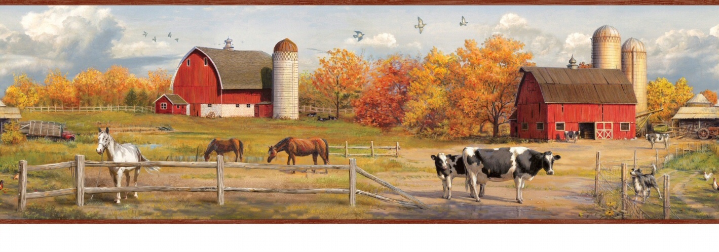 878322 American Farmer Barn Silo Wallpaper Border HTM48431b CLEARANCE ...