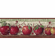 878906 Just Apples Wallpaper Border BH11-089-001-35