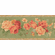 879212 Vintage Floral Green Wallpaper Border FDB03080