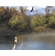 879569 Fishing Scenic Mural-Style Border BE10791MB