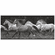 879625 Horses Running Wild Black/Gray Wallpaper Border BP8292bd