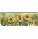 879993 Scalloped Sunflower Wallpaper Border KM80204dc