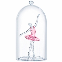 Dancers Ballerina Under Bell Jar