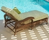 Chesapeake Outdoor Chaise