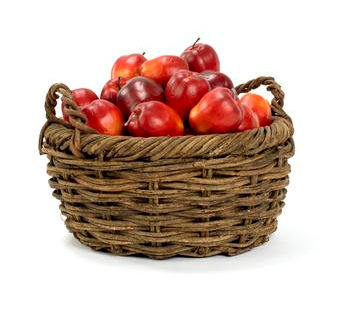 Montana Wicker Cabin Bowl Basket