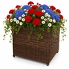 Outdoor Wicker Planter
