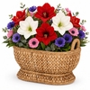 Oval Wicker Compote Basket
