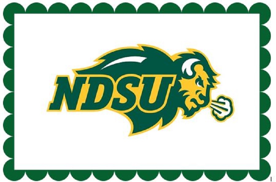 North Dakota State Bisons Party Supplies