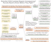 Custody-Support-Property-Essentials