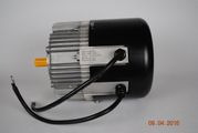 ME1513 Brush-Type DC Motor