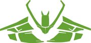Arctic Cat F Series Template