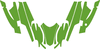 Arctic Cat Firecat-Sabercat F5 F6 F7  03-06 Template