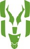 Kawasaki KFX 50 03-06 Template