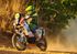 KTM 690 Rally Template