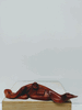 Bodhidharma Full View Bodhidharma Full View