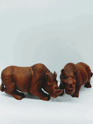  Magnificent Rhinos