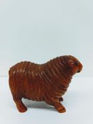 Boxwood Sheep