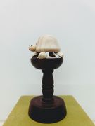 Miniature Turtle 2