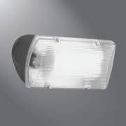 Regent 18 Watt or 26 Watt fluorescent floodlight with photo control.