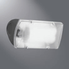 Regent 18 Watt or 26 Watt fluorescent floodlight with photo control.