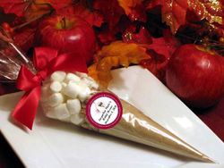 Bridal Shower Apple Cider Cone Favors