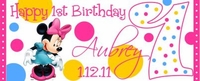 FB07-WBL Minnie Mouse Water Bottle Labels