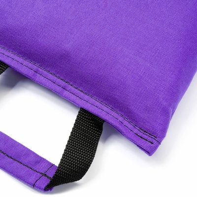 Fitness Sandbag filled w/ 25 lbs steel shot (Extreme Heavy Duty) - Violet