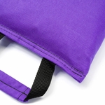 Fitness Sandbag filled w/ 25 lbs steel shot (Extreme Heavy Duty) - Violet