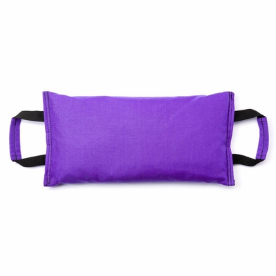 Fitness Sandbag filled w/ 25 lbs steel shot (Extreme Heavy Duty) - Violet