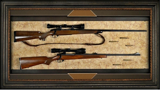 Flagship Rifle Display Case