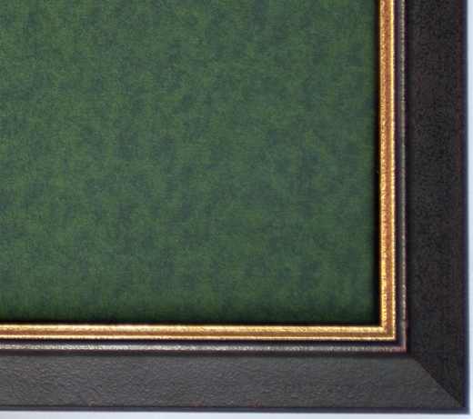 Music Memorabilia Display Case