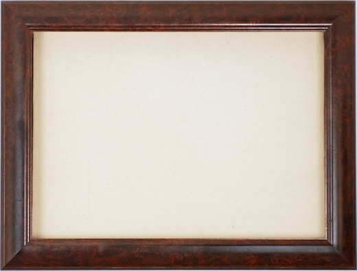 Special Awards Display Case