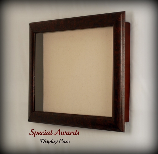 Special Awards Display Case