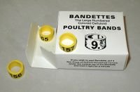 Bandettes    25 leg bands size 9