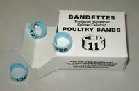 Bandettes    25 leg bands size 11