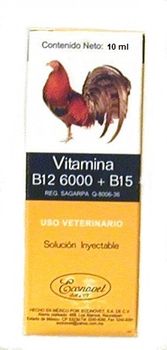 B12 6000 + B15  10ml inj.