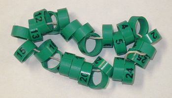 Bandettes    25 leg bands size 12