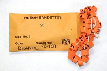 Bandettes    25 leg bands size 6