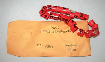 Bandettes    25 leg bands size 7