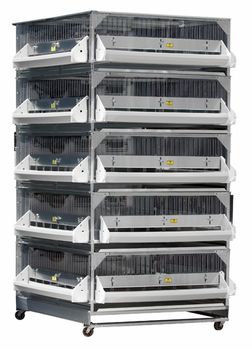 Deluxe Chick Battery (5) Brooders #0540 (+ freight)