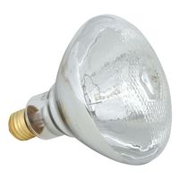 Brooder Heat Lamp Bulb, Clear 250 watt Brooder Heat Lamp Bulb, Clear 250 watt
