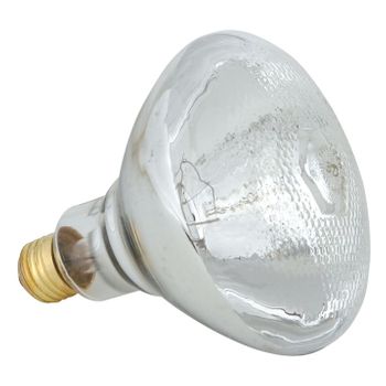 Brooder Heat Lamp Bulb, Clear  250 watt