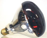 Brooder Heat Lamp Bulb, Red 250 watt Brooder Heat Lamp Bulb, Red 250 watt
